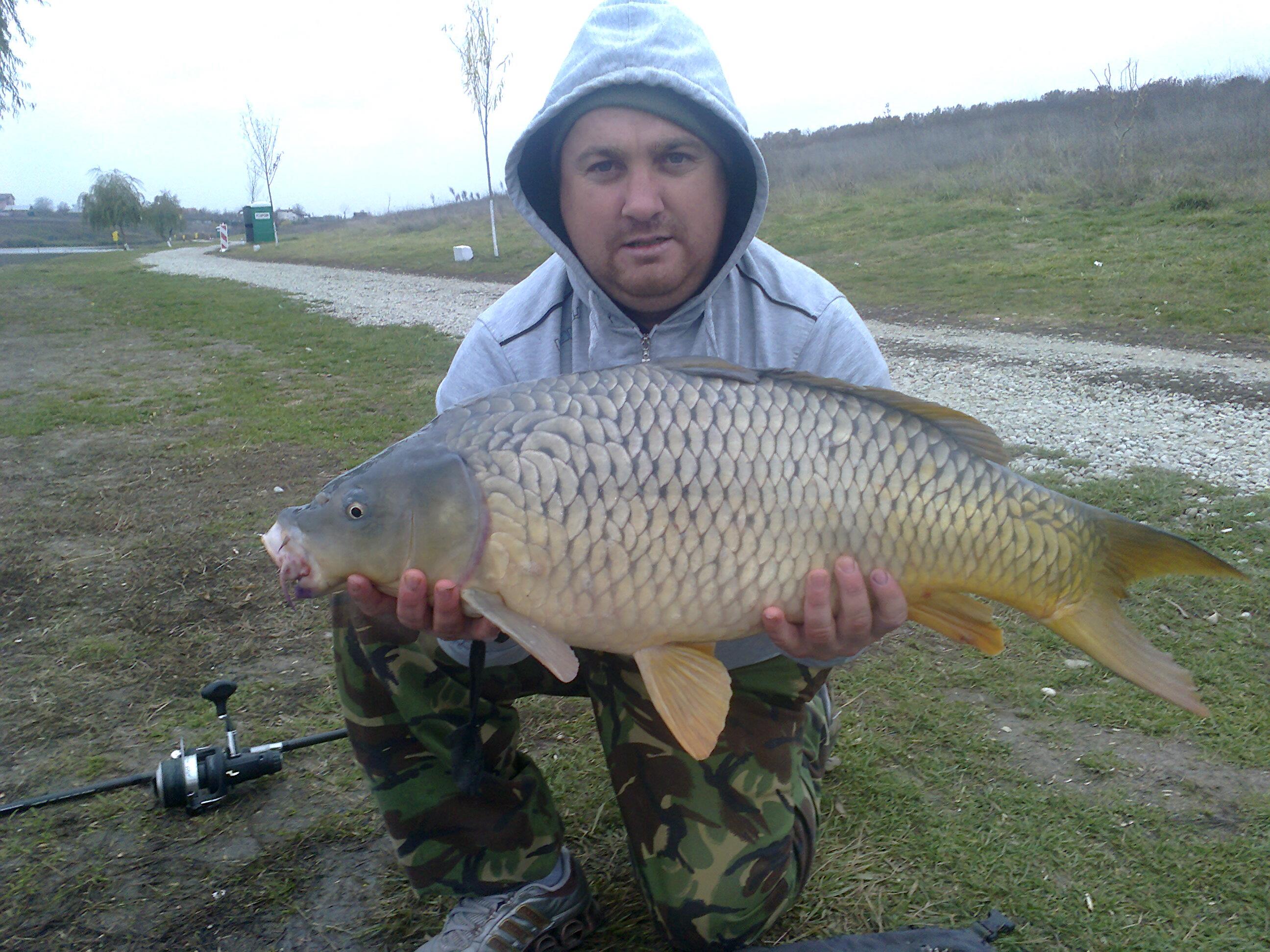  moara vlasiei  - 010.jpg